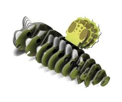 Discount Puzzle 3D Eugy Triceratops Niños Juguetes Niños 6 Años|Juguetes Más Recomendados