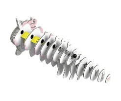 Online Puzzle 3D Eugy Unicorn Niños Puzzles Para Niños|Juguetes Niños 6 Años