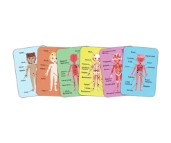 Puzzle Magnético del Cuerpo Humano Niños Juguetes Niños 3 Años|Juguetes Niños 6 Años