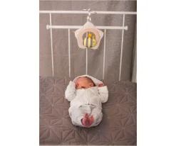 Juguetes Para Recién Nacidos^Hape Reloj Musical Flor y Abeja Billi