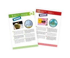 Clearance Set Microscopio con 15 Experimentos Niños Juguetes Niños 8 Años|Juguetes Niños 7 Años