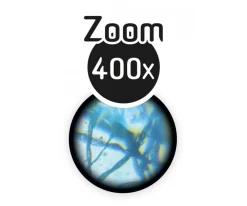 Clearance Set Microscopio con 15 Experimentos Niños Juguetes Niños 8 Años|Juguetes Niños 7 Años