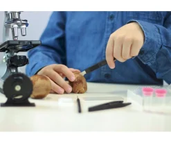 Juguetes Niños 8 Años^Buki Set Microscopio con 30 Experimentos